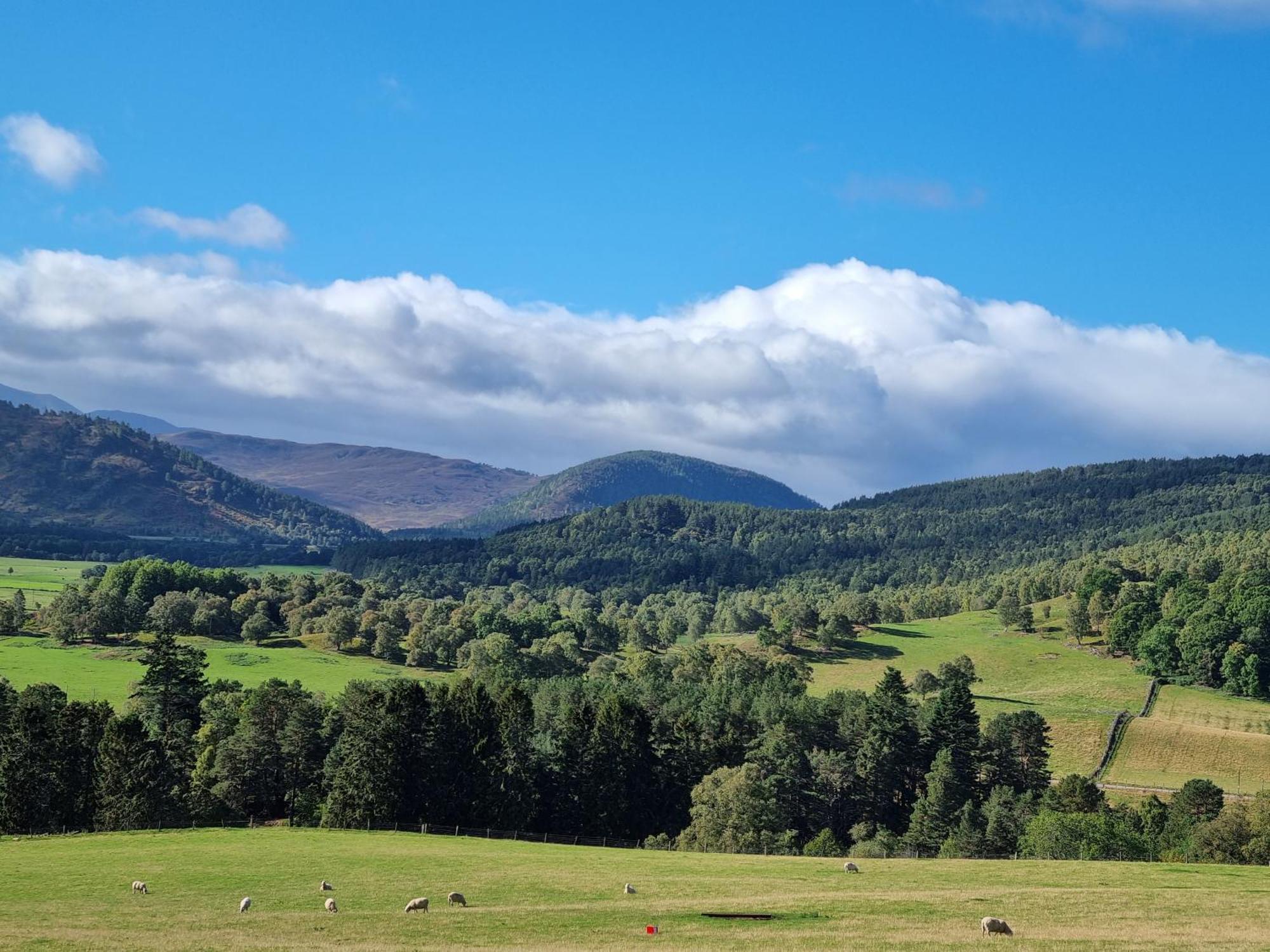 Craggan Bed & Breakfast Ballater Exterior photo